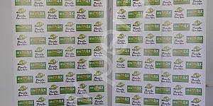 Rollup Standard 85 492