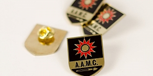 Insigne gravate 2,5D 229