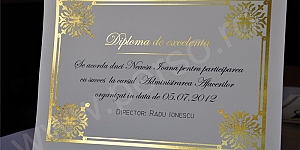 Diploma A4 cu folio auriu 93