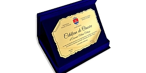 Caseta catifea albastra