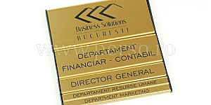 Sistem auriu placute directionare